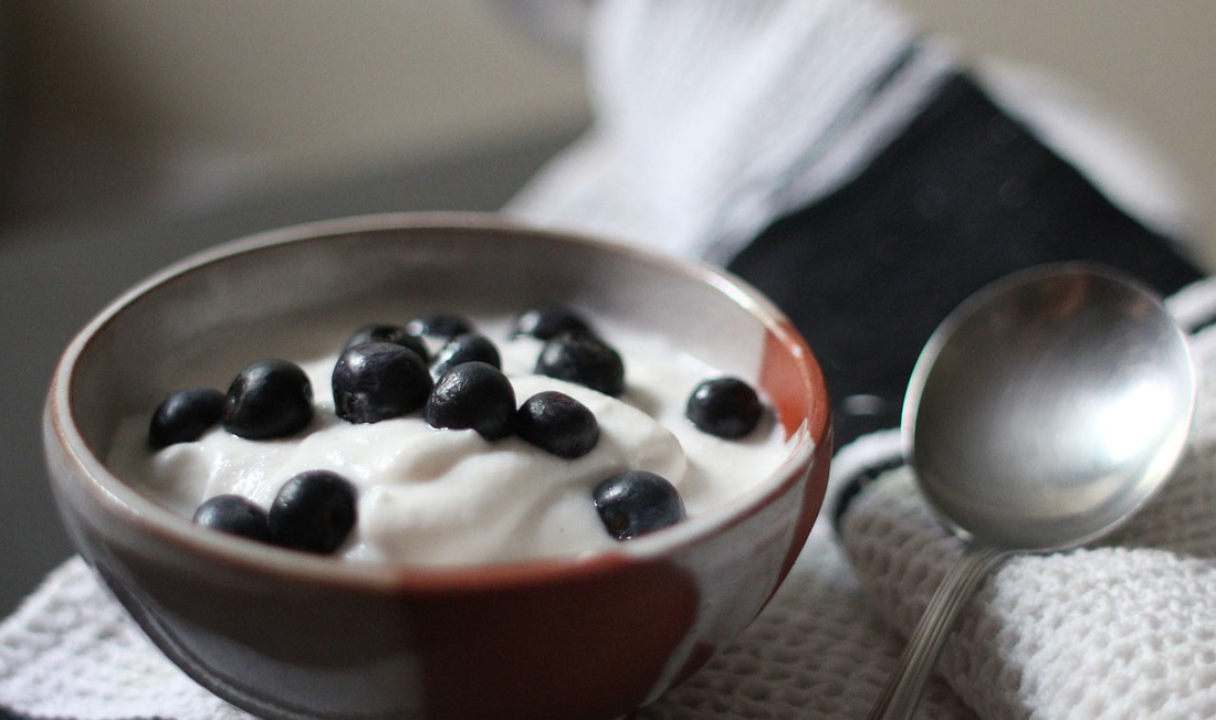 Plain Yogurt with Blueberry Topping Picture