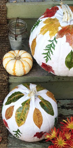 Autumn Decoupage Gourds Picture