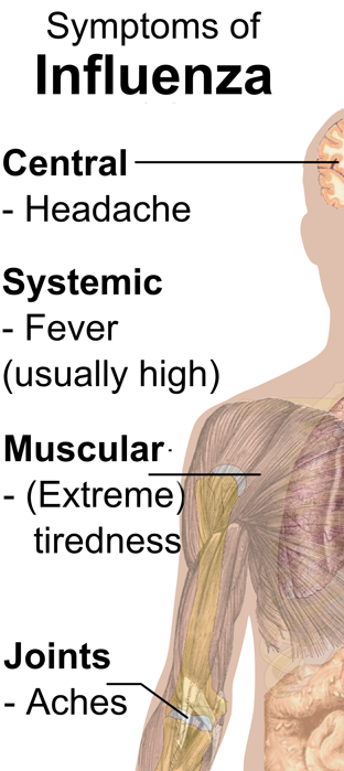 Symptoms of the Flu Picture