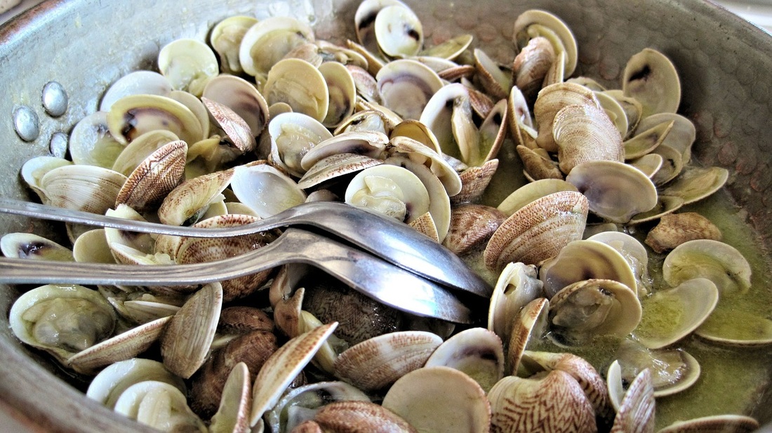 Steamed Clams Picture