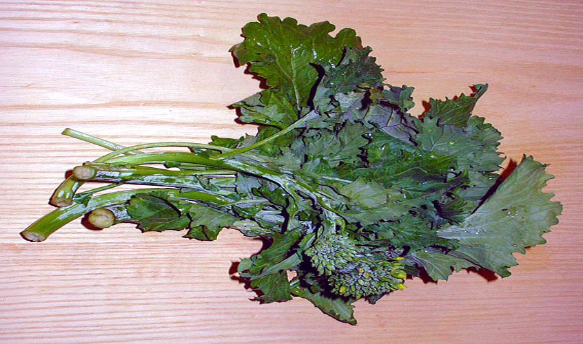 Broccoli Rabe / Rapini Picture