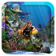 3D Aquarium Live Wallpaper HD App Icon Picture
