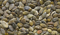 Dried Pumpkin Seeds Picture