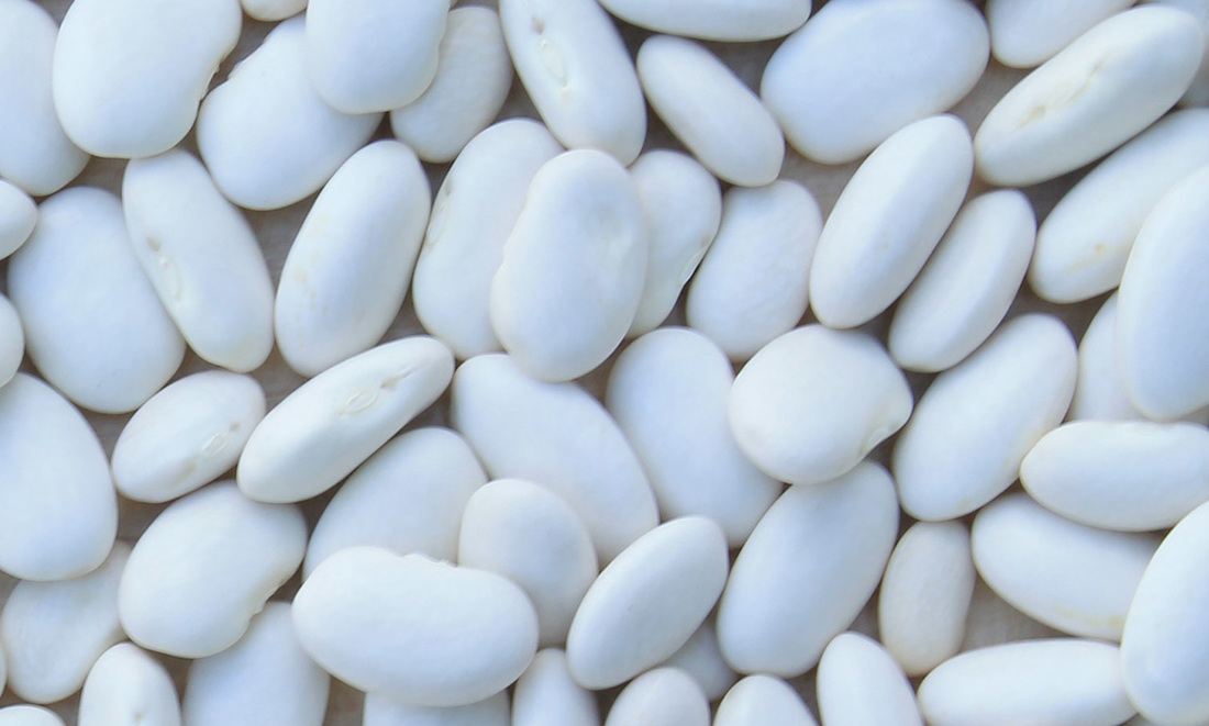 White Beans Picture