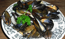 Mussels Picture