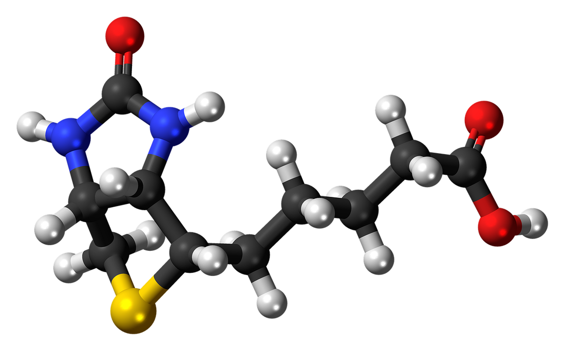 Vitamin B Biotin Structure Image