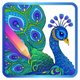 Adult Coloring Book App Icon Picture
