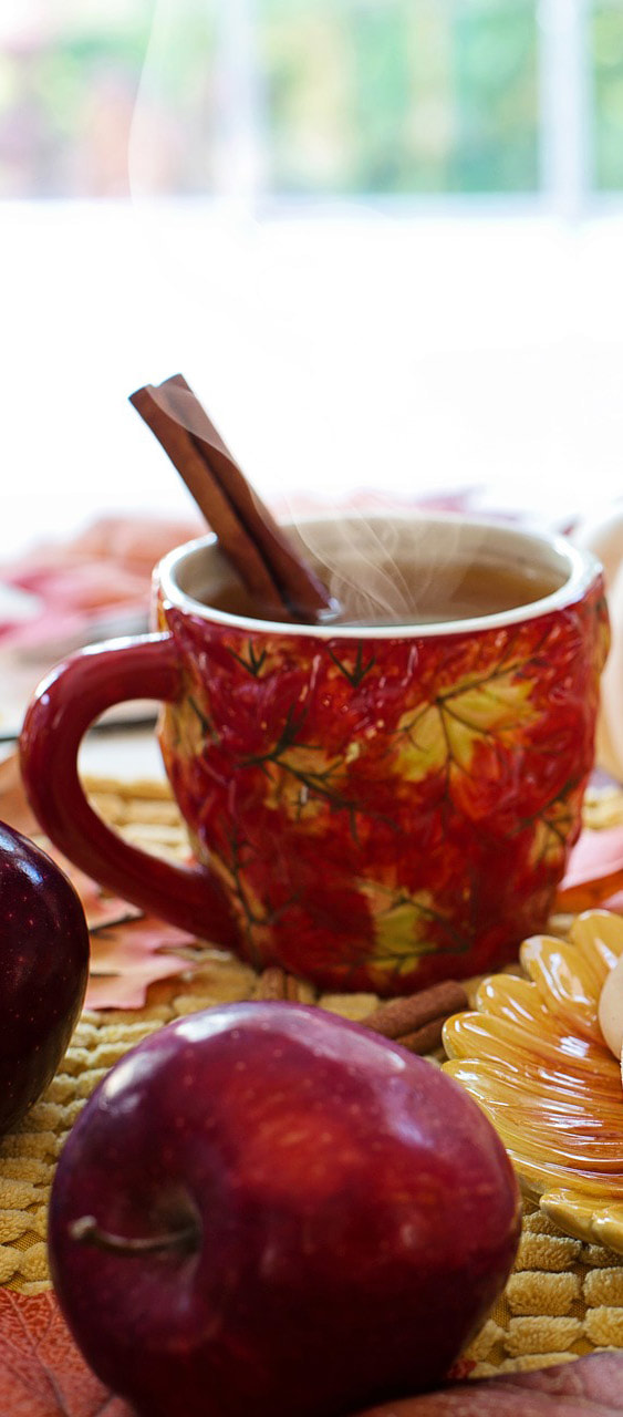 Hot Mulled Apple Cider Picture