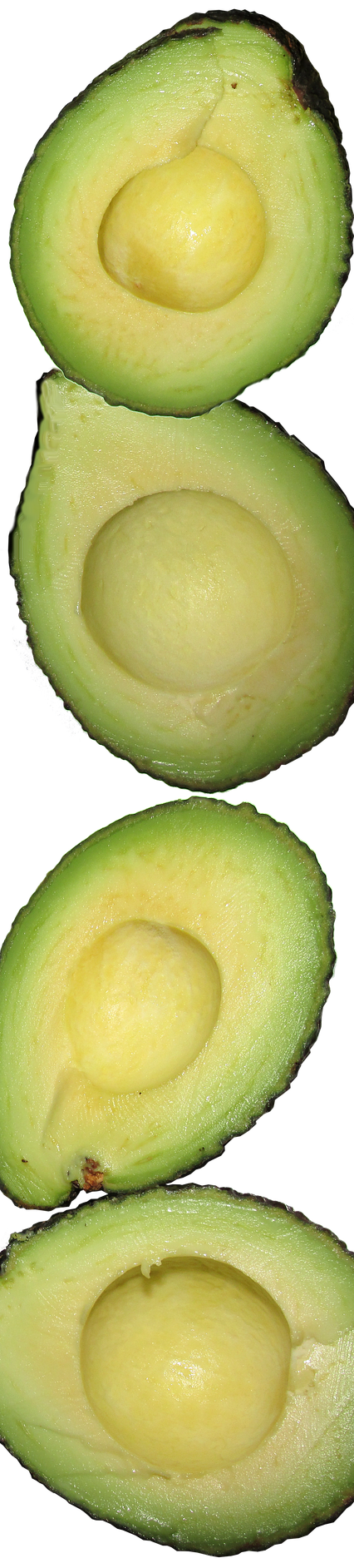 Avocado Picture