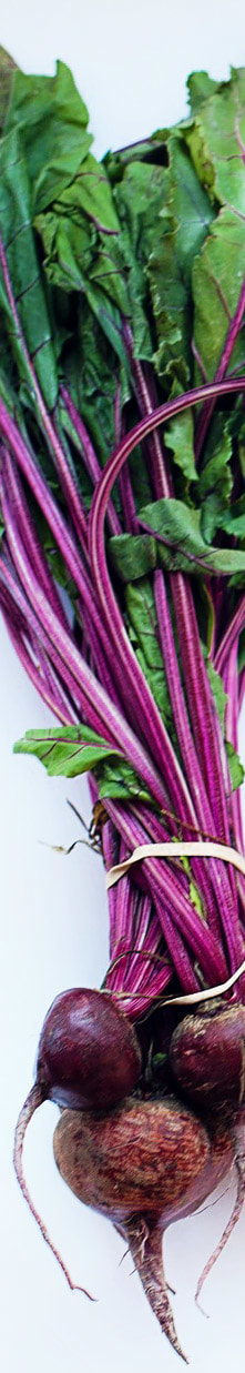 Beets Picture