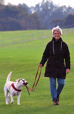Senior Walking Dog Picture