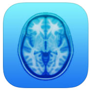 Brain Trainer Working Memory Training App Icon Picture