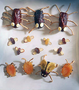 Edible Halloween Bugs Picture