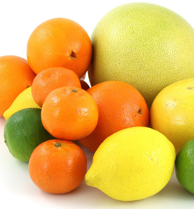 Citrus Fruits Picture
