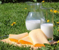 Dairy - Cheese & Milk Picture