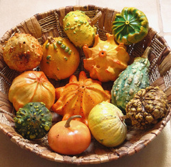 Gourds Picture