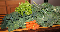 Green Leafy Vegetables Picture