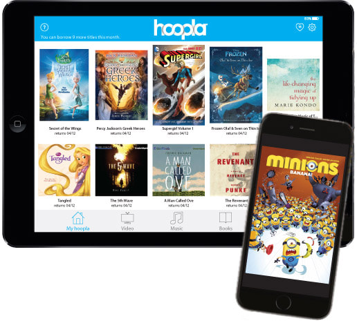 Hoopla Virtual Public Library Picture