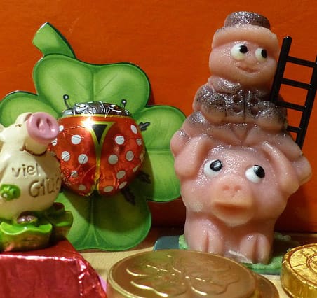 Marzipan Pig Picture