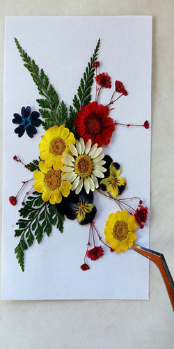 Pressed Flowers Picture