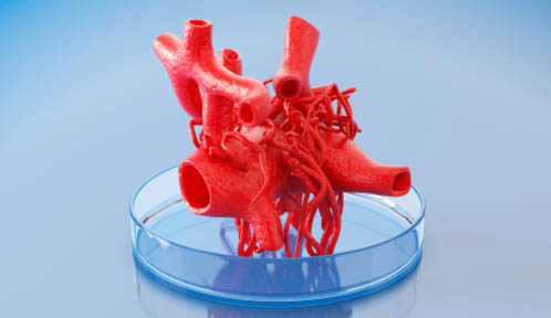 3D Printing Organ Example Picture