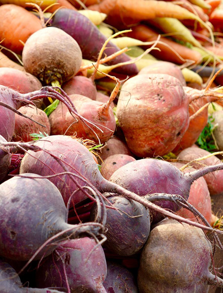 Root Vegetables Picture