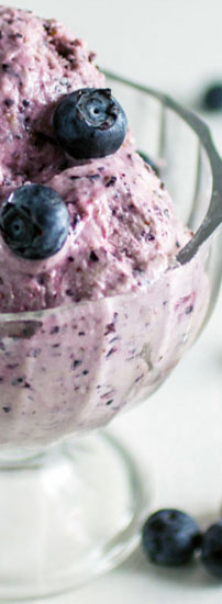 Blueberry Frozen Yogurt Picture