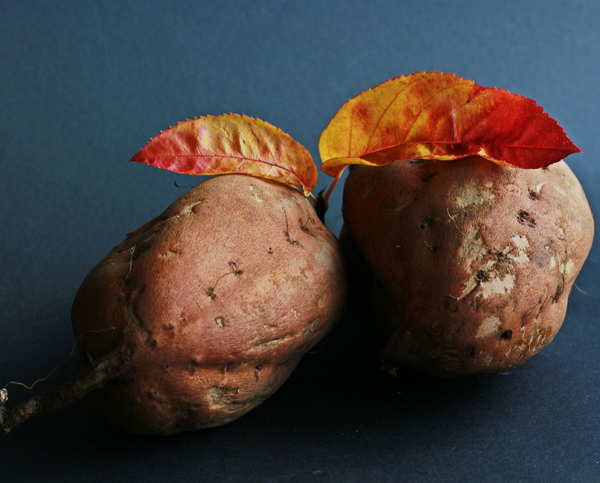 Sweet Potato Picture