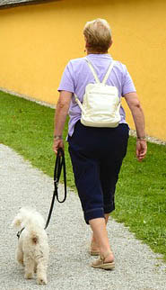 Senior Walking Small Dog Picture