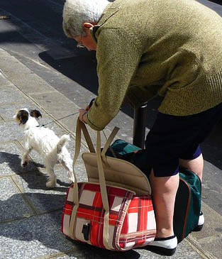 Senior Travelling with Small Dog Picture