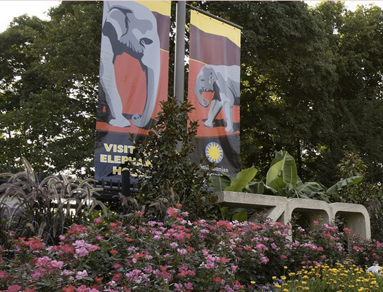 National Zoo Virtual Tour Picture
